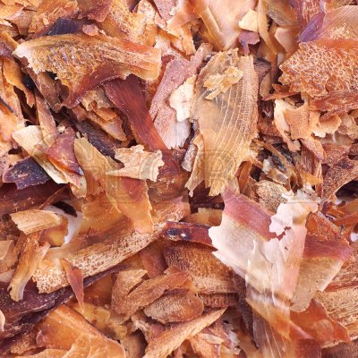 Katsuobushi 