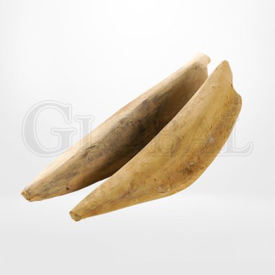 ปลาโอแห้ง (Hon Karebushi)