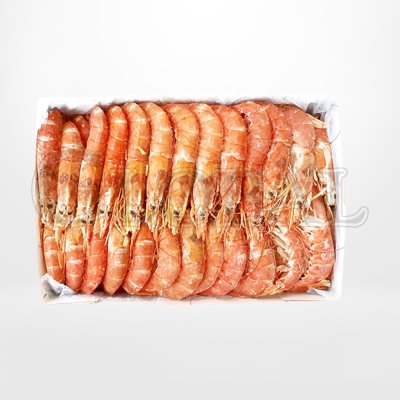กุ้งแดงอาร์เจนตินา