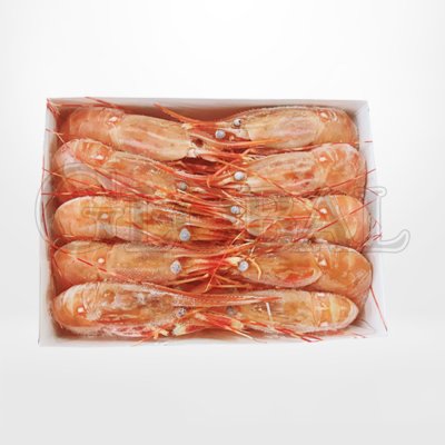 กุ้งโบตัน