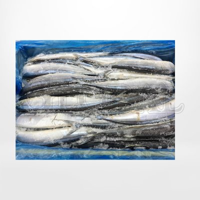 Pacific Saury (Sanma)