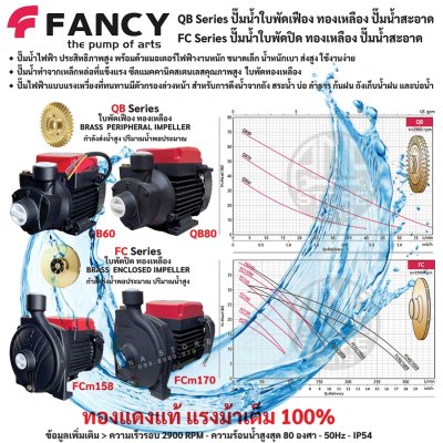 FANCY ปั๊มหอยโข่ง ใบพัดทองเหลือง 1นิ้ว ทองแดงแท้