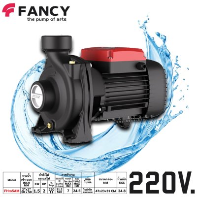 FANCY ปั๊มหอยโข่ง ใบพัดสแตนเลส 2นิ้ว ทองแดงแท้