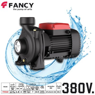 FANCY ปั๊มหอยโข่ง ใบพัดสแตนเลส 2นิ้ว ทองแดงแท้