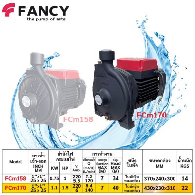 FANCY ปั๊มหอยโข่ง ใบพัดทองเหลือง 1นิ้ว ทองแดงแท้