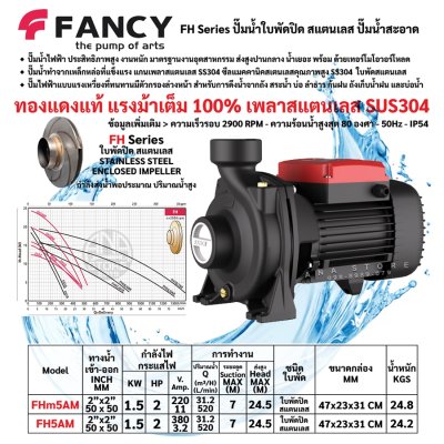 FANCY ปั๊มหอยโข่ง ใบพัดสแตนเลส 2นิ้ว ทองแดงแท้