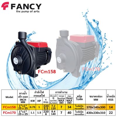 FANCY ปั๊มหอยโข่ง ใบพัดทองเหลือง 1นิ้ว ทองแดงแท้