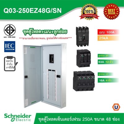 Schneider Electric ชุดตู้โหลดเซ็นเตอร์สแควร์ดีเฟรม 250A ขนาด 48 ช่อง + เมน 100A, 25kA + ลูกย่อย 16A = 4 l ลูกย่อย 63A 3P = 12 ตัว