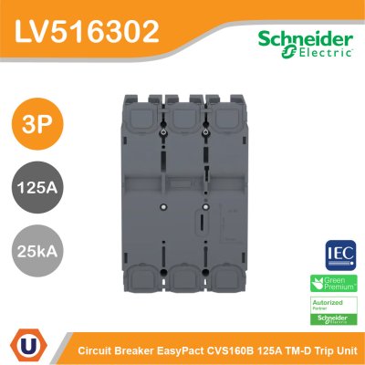 Schneider Electric Circuit breaker CVS160B 25 kA at 415 VAC 125 A TM-D trip unit 3P | LV516302