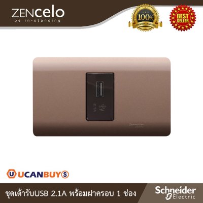 Schneider ชุดเต้ารับ USB 2.1A + ฝาครอบ 1ช่อง สีน้ำตาล | Zencelo