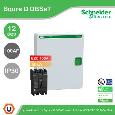 Schneider Electric ตู้โหลดเซ็นเตอร์ รุ่น Square D DBSeT ขนาด 12 ช่อง + MCCB รุ่น EZC 3P 100A 30kA
