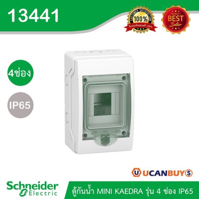 Schneider Electric ตู้กันน้ำ MINI KAEDRA รุ่น 4 ช่อง IP65 เหมาะสำหรับใส่เบรกเกอร์แบบเกาะราง (ใส่เบรกเกอร์ EV) | 13441