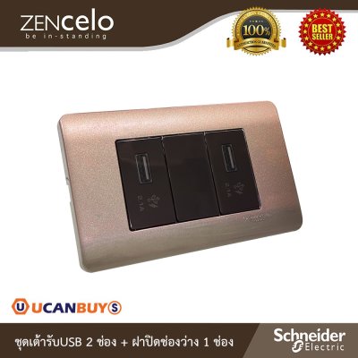 Schneider ชุดเต้ารับUSB 2ตัว+ฝาอุดช่องว่าง พร้อมฝาครอบ 3ช่อง สีน้ำตาล | Zencelo