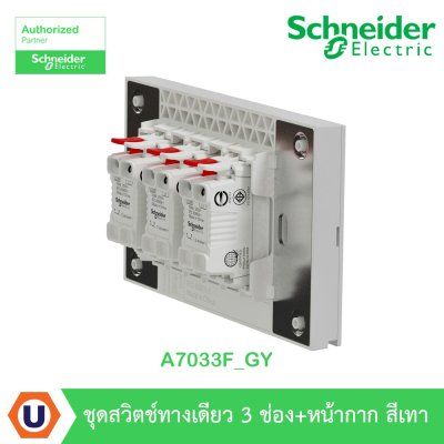 Schneider Electric ชุดสวิตช์ทางเดียว 3 ตัว Size S ประกอบสำเร็จรูป สีเทา | AvatarOn A | A7033F_GY