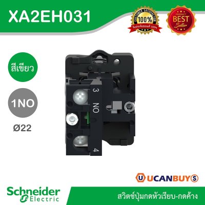Schneider Electric สวิตช์ปุ่มกดหัวเรียบ กดค้าง ขนาด 22 mm. สีเขียว 1NO | XA2AH031