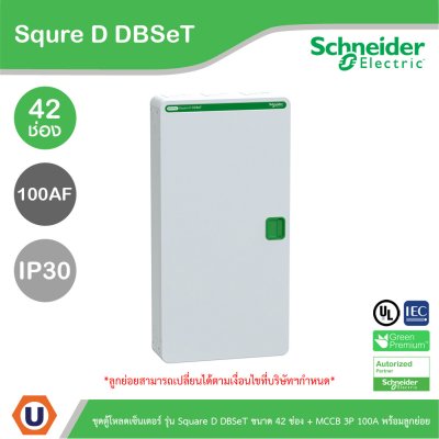 Schneider Electric ชุดตู้โหลดเซ็นเตอร์ Square D DBSeT 42ช่อง+MCCB EZC 3P 100A 30kA พร้อมลูกย่อย24ตัว