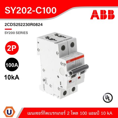 ABB SY202-C100 เมนเซอร์กิตเบรกเกอร์ 2 โพล 100 แอมป์ 10 kA (IEC 60898-1) | 2CDS252230R0824