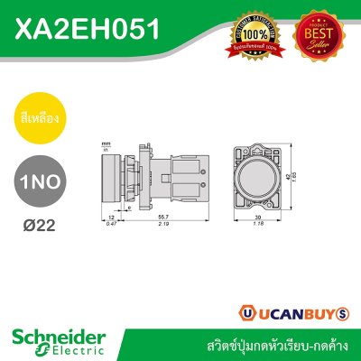 Schneider Electric สวิตช์ปุ่มกดหัวเรียบ กดค้าง ขนาด 22 mm. สีเหลือง 1NO | XA2AH051