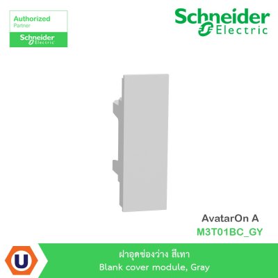 Schneider Electric ฝาอุดช่องว่าง สีเทา Blank cover module, Gray รุ่น AvatarOn A  I M3T01BC_GY