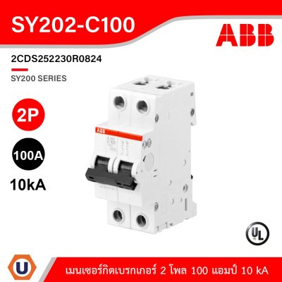 ABB SY202-C100 เมนเซอร์กิตเบรกเกอร์ 2 โพล 100 แอมป์ 10 kA (IEC 60898-1) | 2CDS252230R0824