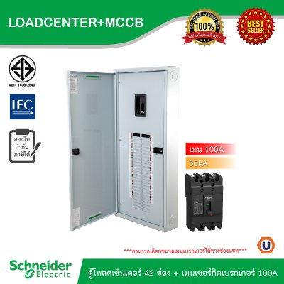 Schneider Electric ตู้โหลดเซ็นเตอร์ 42 ช่อง + เมนเซอร์กิตเบรกเกอร์(MCCB) 100A รหัส QO3-100EZ42G/SN+EZC100H3100