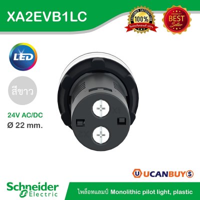 Schneider Electric Pilot Lamp ไพลอตแลมป์ LED ขนาด 22 mm สีขาว 24 V AC/DC | XA2EVB1LC