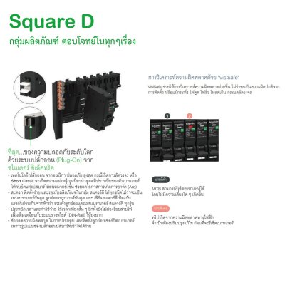 Schneider Electric ลูกย่อยเบรกเกอร์ ป้องกันไฟรั่ว/ไฟดูด 10mA ชนิด 1 โพล 6kA 16 แอมป์ :QO116C06RCBO10