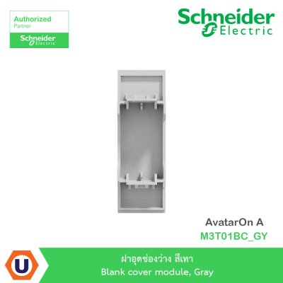 Schneider Electric ฝาอุดช่องว่าง สีเทา Blank cover module, Gray รุ่น AvatarOn A  I M3T01BC_GY