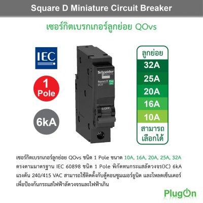 Schneider Electric ชุดตู้โหลดเซ็นเตอร์สแควร์ดีเฟรม 250A ขนาด 48 ช่อง + เมน 100A, 25kA + ลูกย่อย 16A = 4 l ลูกย่อย 63A = 12 ตัว