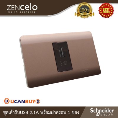 Schneider ชุดเต้ารับ USB 2.1A + ฝาครอบ 1ช่อง สีน้ำตาล | Zencelo