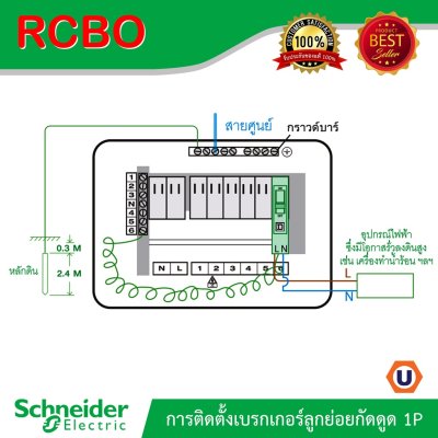 Schneider Electric ลูกย่อยเบรกเกอร์ ป้องกันไฟรั่ว/ไฟดูด 30mA ชนิด 1 โพล 6kA 16 แอมป์ :QO116C06RCBO30