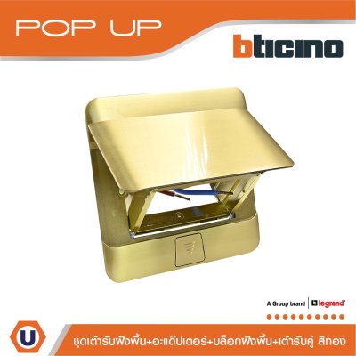 BTicino ชุดเต้ารับฝังพื้น ปลั๊กคู่มีกราวด์ สีทองครบชุด | Matix
