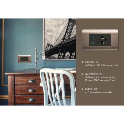 Schneider ชุดปลั๊กคู่มีกราวด์ พร้อมฝาครอบสีน้ำตาล รุ่น ZENcelo