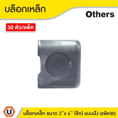 แพ็ค 30 | บล็อกเหล็ก ขนาด 2x4 (แบบลึก) รู 6 หุน ติดตั้งแบบฝัง