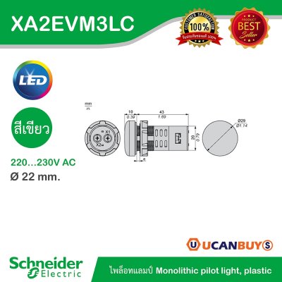Schneider Electric Pilot Lamp ไพลอตแลมป์ LED ขนาด 22 mm สีเขียว แรงดันไฟเลี้ยง 220/230 VAC | XA2EVM3LC