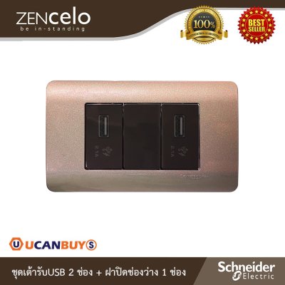 Schneider ชุดเต้ารับUSB 2ตัว+ฝาอุดช่องว่าง พร้อมฝาครอบ 3ช่อง สีน้ำตาล | Zencelo