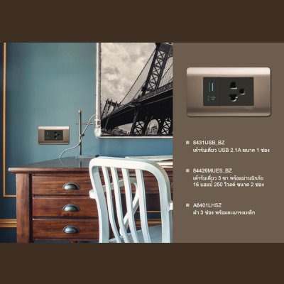 Schneider Electric เต้ารับ USB 2.1A 2 ช่องสีขาว รุ่น Zencelo | 8432USB_WE