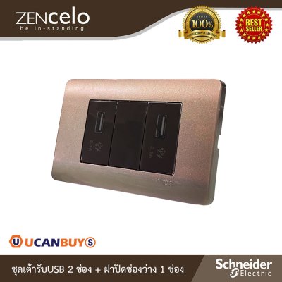 Schneider ชุดเต้ารับUSB 2ตัว+ฝาอุดช่องว่าง พร้อมฝาครอบ 3ช่อง สีน้ำตาล | Zencelo