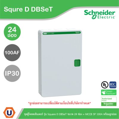 Schneider Electric ชุดตู้โหลดเซ็นเตอร์ Square D DBSeT 24ช่อง+MCCB EZC 3P 100A 30kA พร้อมลูกย่อย14ตัว