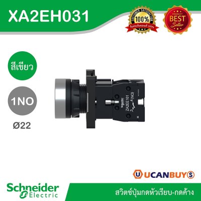 Schneider Electric สวิตช์ปุ่มกดหัวเรียบ กดค้าง ขนาด 22 mm. สีเขียว 1NO | XA2AH031