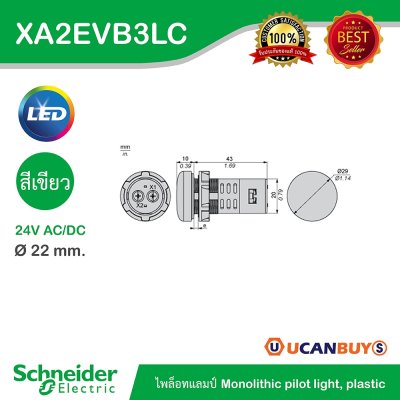Schneider Electric Pilot Lamp ไพลอตแลมป์ LED ขนาด 22 mm สีเขียว 24 V AC/DC | XA2EVB3LC