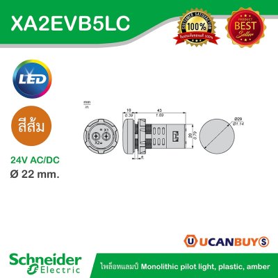 Schneider Electric Pilot Lamp ไพลอตแลมป์ LED ขนาด 22 mm สีส้ม 24 V AC/DC | XA2EVB5LC
