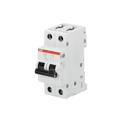 ABB Miniature Circuit Breaker (MCB) ขนาด​ 80A,10kA,2P | SY202- C80 | 2CDS252230R0804