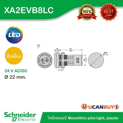 Schneider Electric Pilot Lamp ไพลอตแลมป์ LED ขนาด 22mm สีเหลือง 24 V AC/DC | XA2EVM8LC