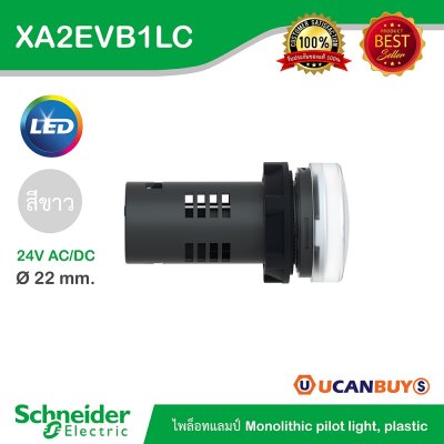 Schneider Electric Pilot Lamp ไพลอตแลมป์ LED ขนาด 22 mm สีขาว 24 V AC/DC | XA2EVB1LC