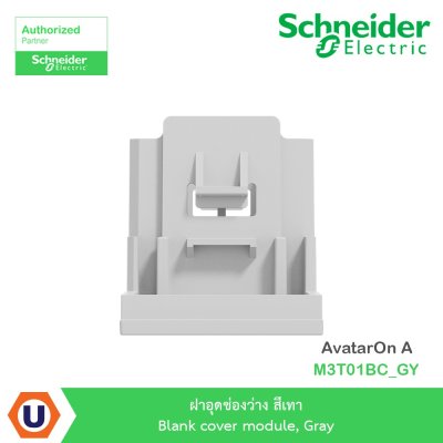 Schneider Electric ฝาอุดช่องว่าง สีเทา Blank cover module, Gray รุ่น AvatarOn A  I M3T01BC_GY