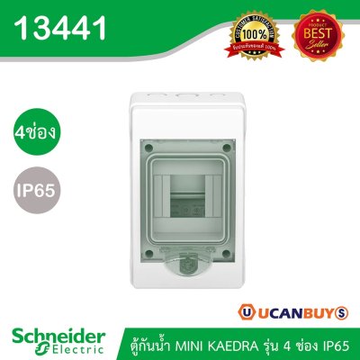 Schneider Electric ตู้กันน้ำ MINI KAEDRA รุ่น 4 ช่อง IP65 เหมาะสำหรับใส่เบรกเกอร์แบบเกาะราง (ใส่เบรกเกอร์ EV) | 13441