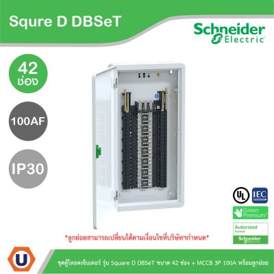 Schneider Electric ชุดตู้โหลดเซ็นเตอร์ Square D DBSeT 42ช่อง+MCCB EZC 3P 100A 30kA พร้อมลูกย่อย24ตัว