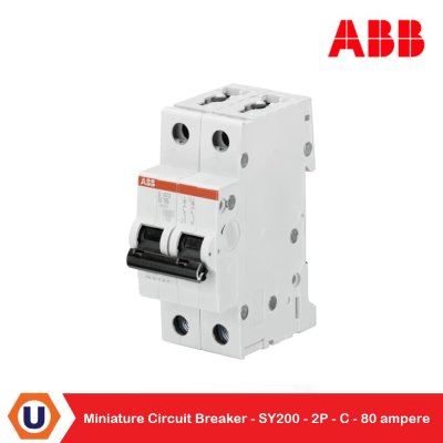ABB Miniature Circuit Breaker (MCB) ขนาด​ 80A,10kA,2P | SY202- C80 | 2CDS252230R0804