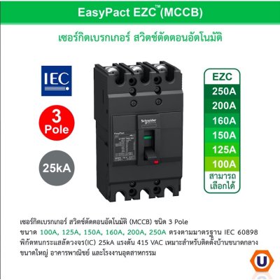 Schneider Electric ชุดตู้โหลดเซ็นเตอร์สแควร์ดีเฟรม 250A ขนาด 48 ช่อง + เมน 100A, 25kA + ลูกย่อย 16A = 4 l ลูกย่อย 63A = 12 ตัว